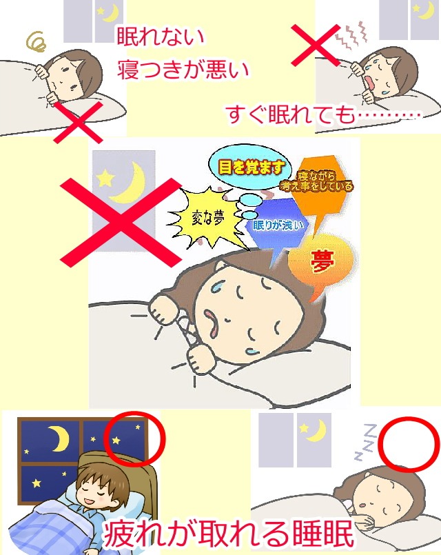 睡眠、寝ると言うことは